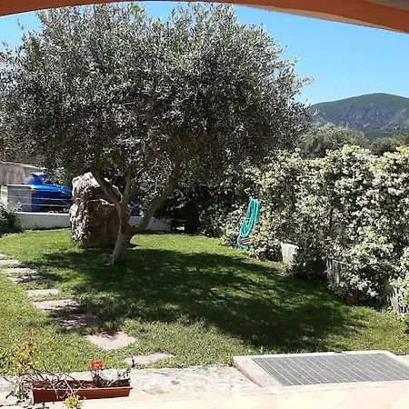 Ibisco * Tertenia